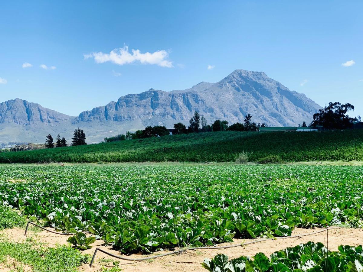 L'Bloom Country House Villa Tulbagh Buitenkant foto