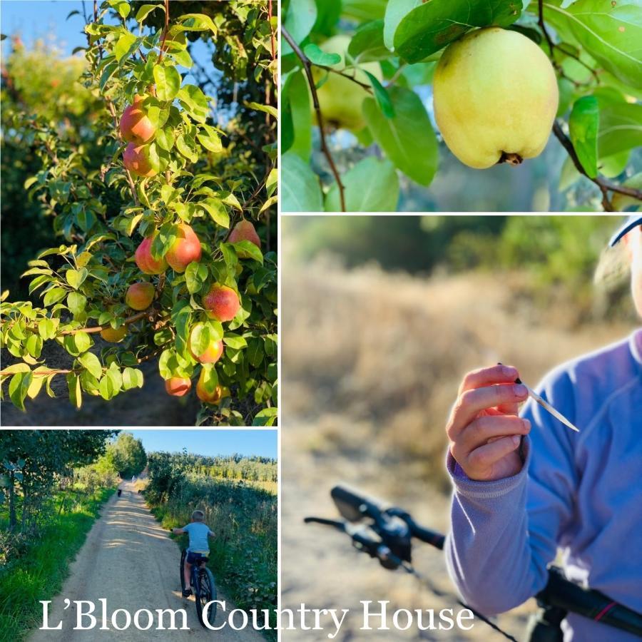 L'Bloom Country House Villa Tulbagh Buitenkant foto