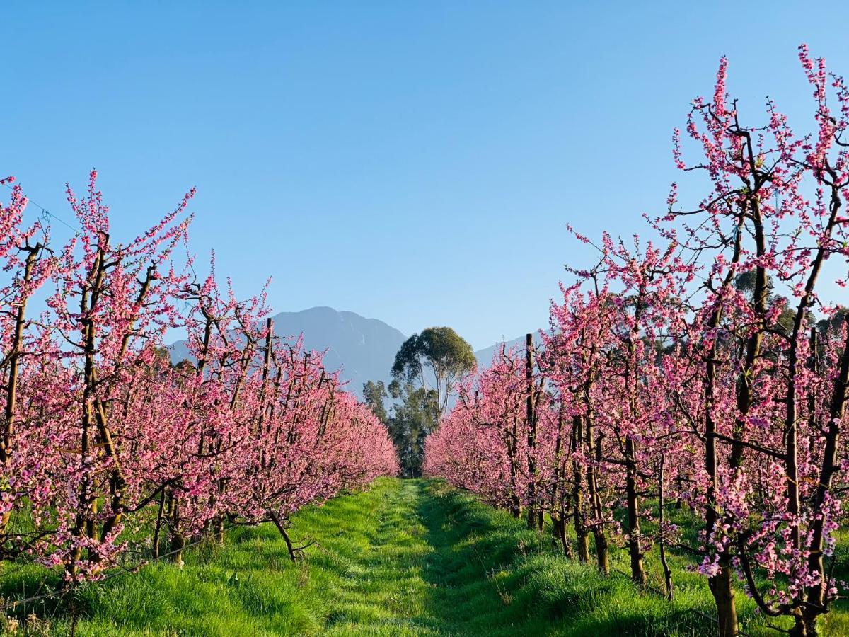 L'Bloom Country House Villa Tulbagh Buitenkant foto