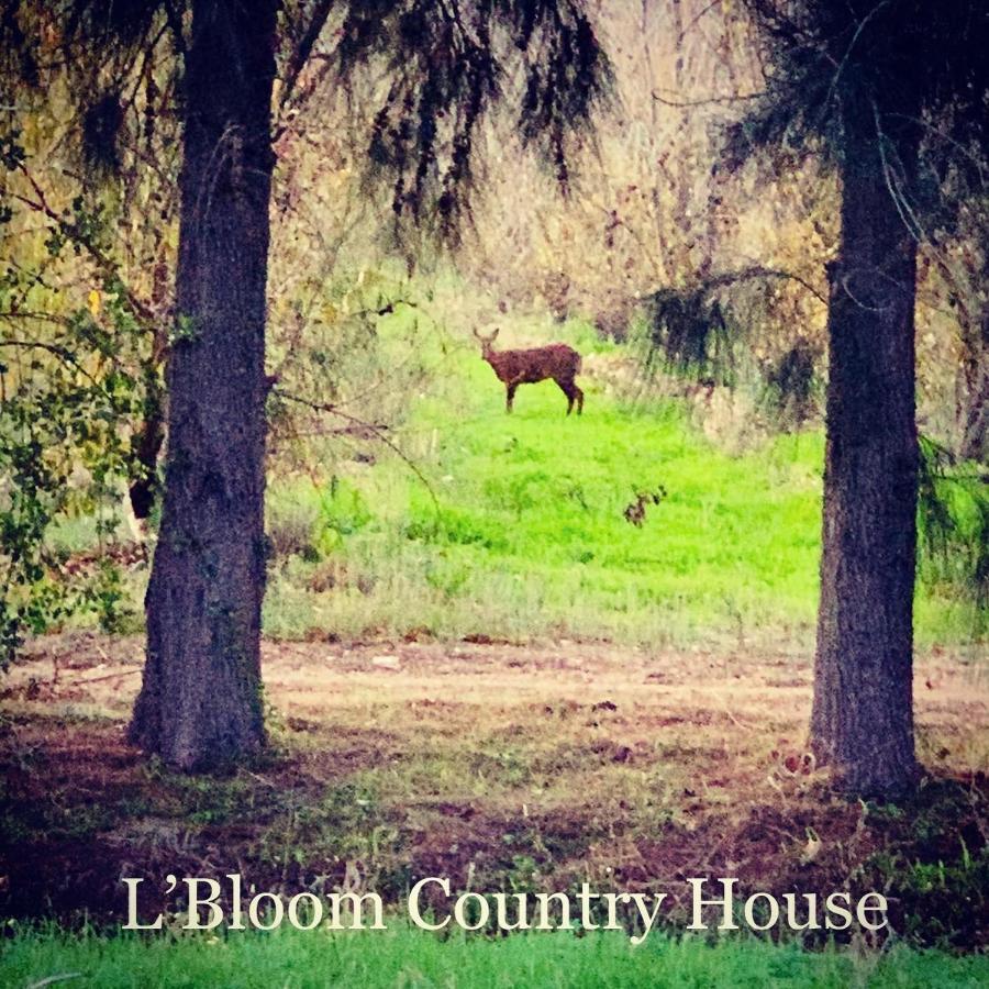 L'Bloom Country House Villa Tulbagh Buitenkant foto