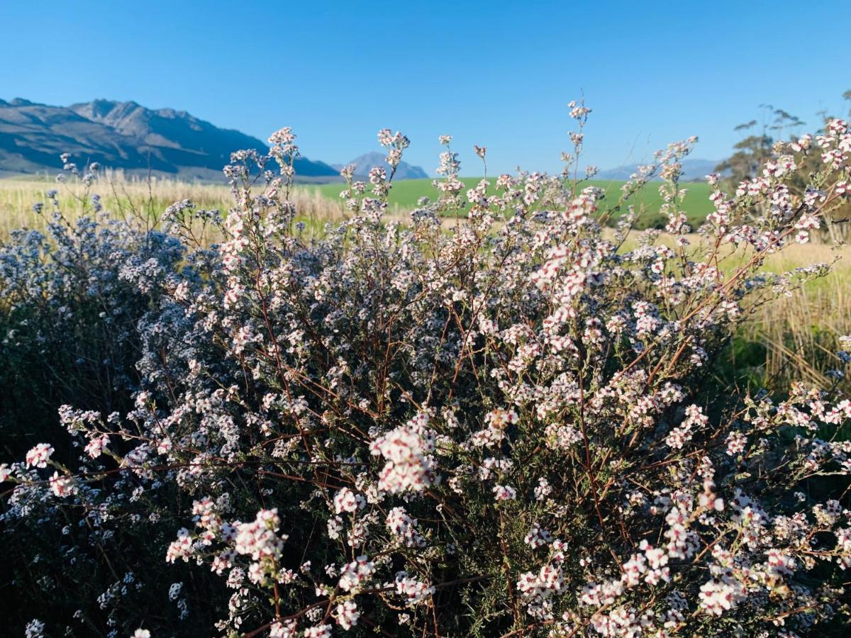 L'Bloom Country House Villa Tulbagh Buitenkant foto