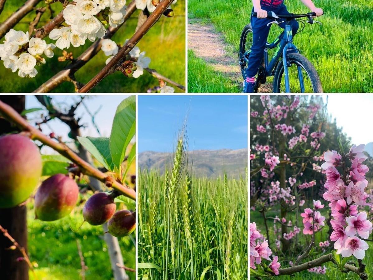 L'Bloom Country House Villa Tulbagh Buitenkant foto